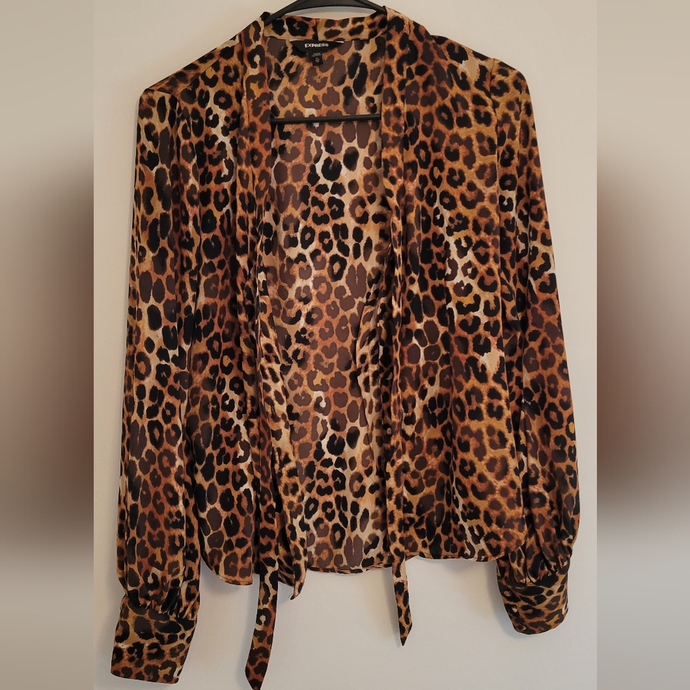 Express blouse XS